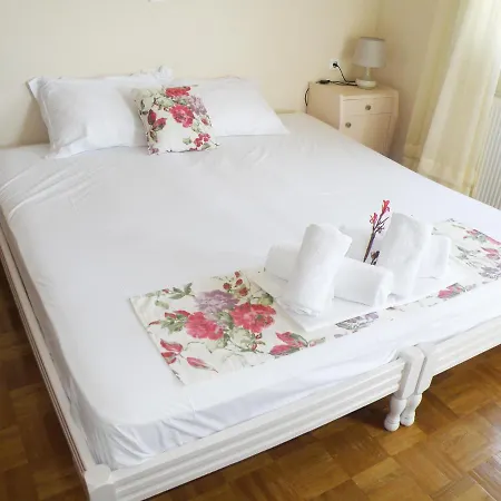 Rodia 4 Guests Potos